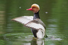 Nome del file=1684142015664.JPG
Dimensione del file=524KiB
Dimensioni=1920x1280
Aggiunta il=20 Mag 2023 1684142015664.JPG