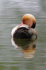 Nome del file=1684142015691.JPG
Dimensione del file=767KiB
Dimensioni=1280x1920
Aggiunta il=20 Mag 2023 1684142015691.JPG