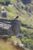 Nome del file=1690960144037.jpg
Dimensione del file=691KiB
Dimensioni=1371x2048
Aggiunta il=02 Ago 2023 1690960144037.jpg