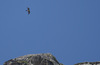 Nome del file=1690960144049.jpg
Dimensione del file=372KiB
Dimensioni=2047x1332
Aggiunta il=02 Ago 2023 1690960144049.jpg