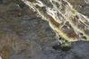 Nome del file=1690960144076.jpg
Dimensione del file=659KiB
Dimensioni=2047x1366
Aggiunta il=02 Ago 2023 1690960144076.jpg