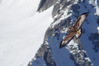 Nome del file=Aquila2.jpg
Dimensione del file=397KiB
Dimensioni=1782x1188
Aggiunta il=23 Dic 2023 Aquila2.jpg