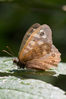 _IGP2214.jpg