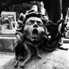 Medusa_Pentaxiani.jpg