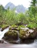 _IGP0557_-_Version_2.jpg