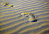 Sand01.jpg