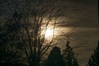 DSC03825_lowres.jpg