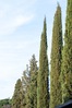 DSC03844_lowres.jpg