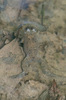 IMGT9155_2.jpg