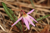 JB241125.JPG