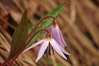 JB2411350.JPG