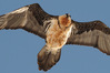 JB244018.JPG