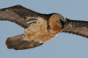 JB244113.JPG