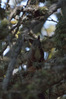 K3234635.JPG