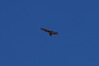 P_211739.JPG
