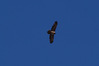 P_211741.JPG