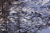 P_211770.JPG