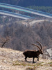 P_220513.JPG