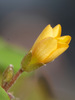 P_220765_cr.jpg