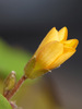 P_220766_cr.jpg