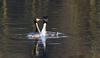 Nome del file=IMGP4205.jpg
Dimensione del file=413KiB
Dimensioni=1600x928
Aggiunta il=01 Mar 2015 IMGP4205.jpg