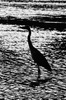 Nome del file=_5GP4700.jpg
Dimensione del file=686KiB
Dimensioni=1060x1600
Aggiunta il=07 Ago 2017 _5GP4700.jpg