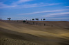 Nome del file=_5GP5236.jpg
Dimensione del file=363KiB
Dimensioni=1500x994
Aggiunta il=05 Nov 2017 _5GP5236.jpg