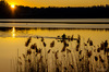 Nome del file=_5GP5665.jpg
Dimensione del file=489KiB
Dimensioni=1250x828
Aggiunta il=17 Dic 2017 _5GP5665.jpg