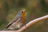 _IGP4598-Modifica.jpg