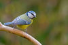 _IGP4644-Modifica.jpg