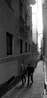 Nome del file=Penta_IMGP2543_test.jpg
Dimensione del file=617KiB
Dimensioni=977x2046
Aggiunta il=06 Gen 2015 Penta_IMGP2543_test.jpg