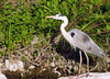 Test_IMGP5703.jpg