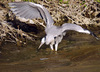 Test_IMGP5718.jpg