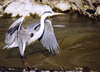 Test_IMGP5736.jpg