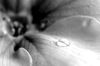 _IGP0945_SC.JPG
