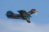 aero_gallo_r.jpg