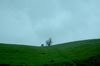 IMGP0919_EV_bil_bia_nit_curve_rid.jpg