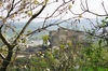 Nome del file=IMGP1691_28FILEminimizer29.jpg
Dimensione del file=334KiB
Dimensioni=1159x768
Aggiunta il=08 Apr 2014 IMGP1691_28FILEminimizer29.jpg