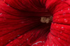 Nome del file=2020-04-19-22_32_46_ZS_retouched.jpg
Dimensione del file=645KiB
Dimensioni=1400x927
Aggiunta il=20 Apr 2020 2020-04-19-22_32_46_ZS_retouched.jpg