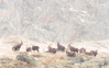 Nome del file=IK702008.jpg
Dimensione del file=707KiB
Dimensioni=1400x875
Aggiunta il=08 Nov 2023 IK702008.jpg