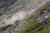 Nome del file=IK703503.jpg
Dimensione del file=830KiB
Dimensioni=1400x933
Aggiunta il=24 Apr 2024 IK703503.jpg