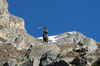 Nome del file=IMGP0622.jpg
Dimensione del file=457KiB
Dimensioni=1400x927
Aggiunta il=01 Mar 2023 IMGP0622.jpg