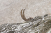 Nome del file=IMGP0751.jpg
Dimensione del file=601KiB
Dimensioni=1400x927
Aggiunta il=01 Mar 2023 IMGP0751.jpg
