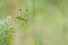 Nome del file=IMGP0772.jpg
Dimensione del file=373KiB
Dimensioni=1400x927
Aggiunta il=22 Giu 2017 IMGP0772.jpg