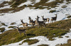 Nome del file=IMGP0812.jpg
Dimensione del file=698KiB
Dimensioni=1400x927
Aggiunta il=05 Gen 2019 IMGP0812.jpg