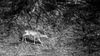 Nome del file=IMGP1015.jpg
Dimensione del file=464KiB
Dimensioni=1200x675
Aggiunta il=12 Feb 2018 IMGP1015.jpg