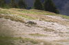 Nome del file=IMGP1056.jpg
Dimensione del file=811KiB
Dimensioni=1400x927
Aggiunta il=12 Apr 2023 IMGP1056.jpg