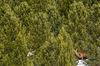Nome del file=IMGP1820.jpg
Dimensione del file=931KiB
Dimensioni=1400x927
Aggiunta il=10 Feb 2019 IMGP1820.jpg