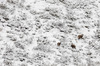 Nome del file=IMGP1970.jpg
Dimensione del file=537KiB
Dimensioni=1250x828
Aggiunta il=02 Apr 2018 IMGP1970.jpg