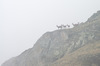 Nome del file=IMGP1979.jpg
Dimensione del file=254KiB
Dimensioni=1250x828
Aggiunta il=10 Mag 2020 IMGP1979.jpg